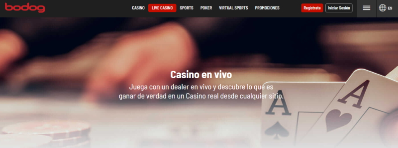 Bodog Casino en Vivo