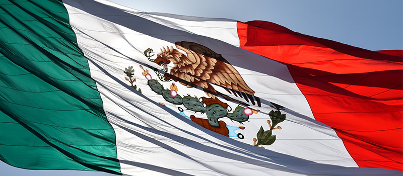 bandera de seleccion de mexico flameanado