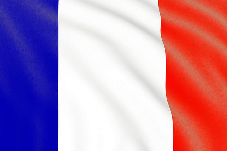 seleccion de francia y su bandera