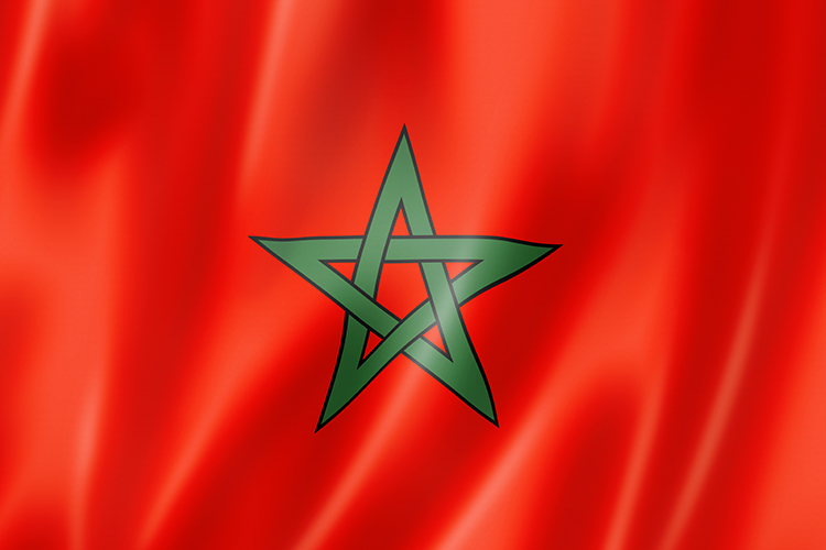 seleccion de marruecos y su bandera (2)