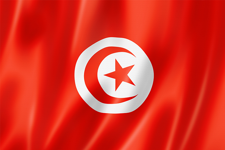 seleccion de tunez y su bandera