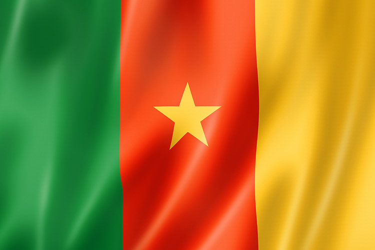 seleccion de camerun y su bandera
