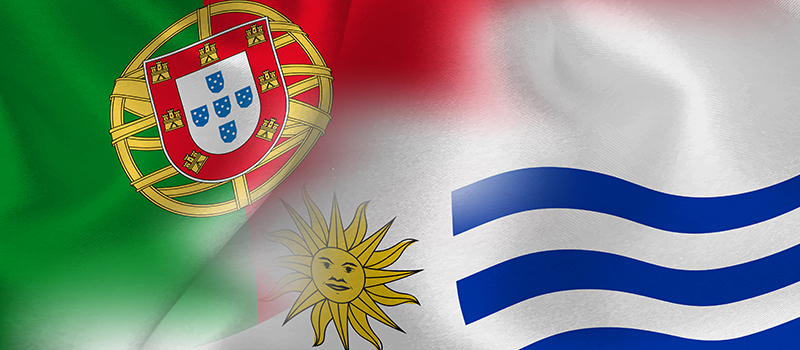 seleccion de portugal y bandera